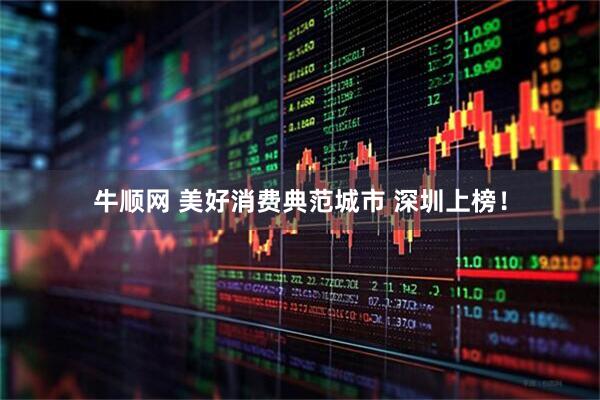 牛顺网 美好消费典范城市 深圳上榜！