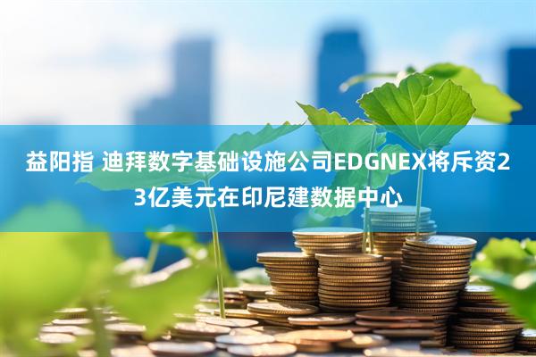 益阳指 迪拜数字基础设施公司EDGNEX将斥资23亿美元在印尼建数据中心