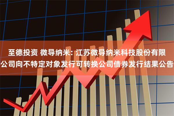 至德投资 微导纳米: 江苏微导纳米科技股份有限公司向不特定对象发行可转换公司债券发行结果公告
