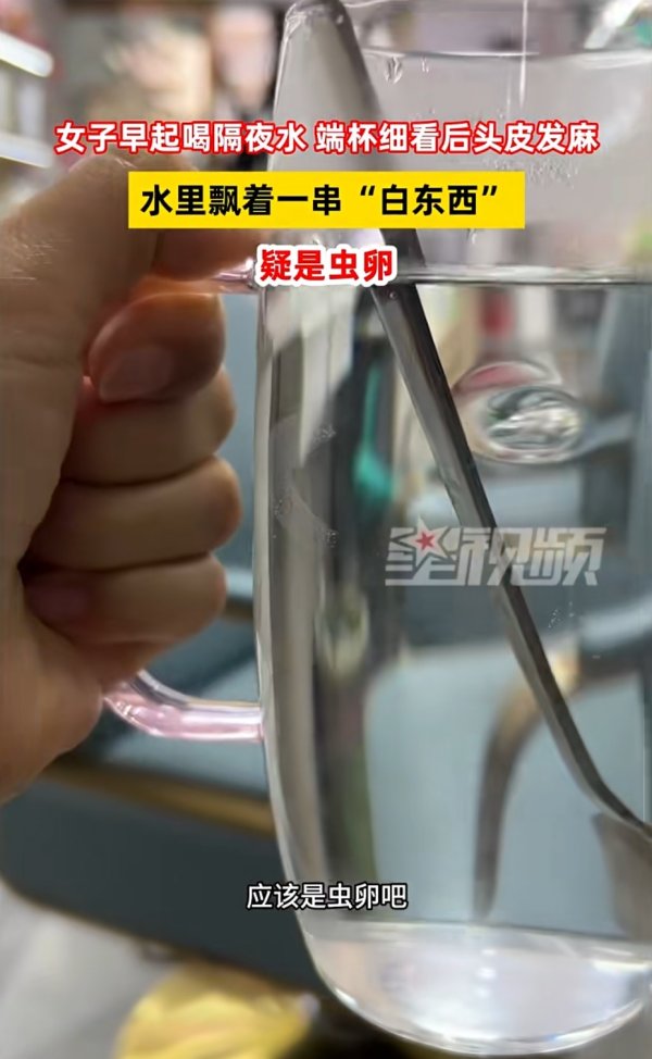 中盛投资 头皮发麻！这种水不要喝，几百枚卵可能已经下肚