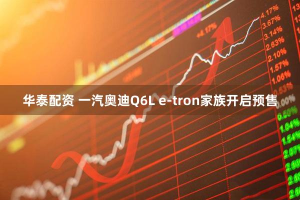 华泰配资 一汽奥迪Q6L e-tron家族开启预售